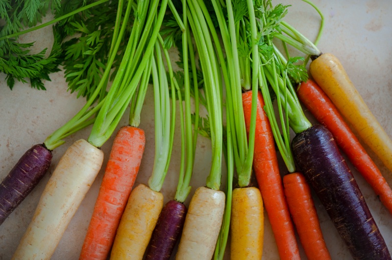wysiew marchwi w maju. Szybkie plony. Warzywa do skrzynek i na balkon.