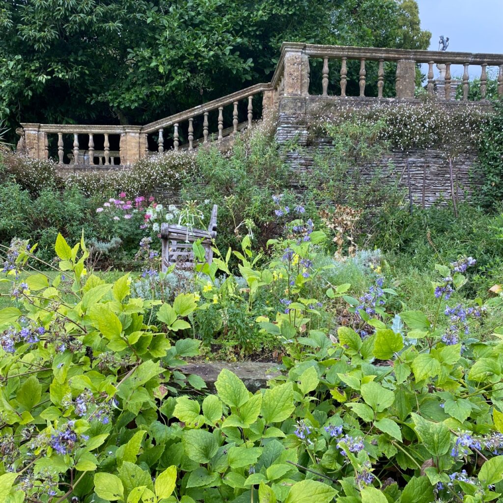 Zejście do oranżerii w Hestercombe garden.