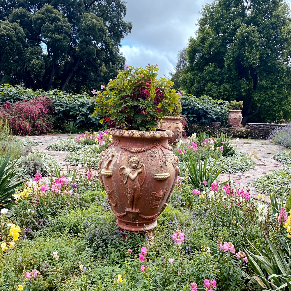 Ogród holenderski w Hestercombe garden.