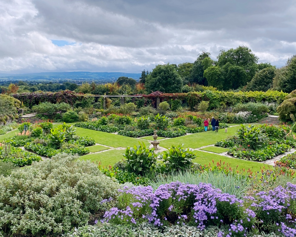 Parter Hestercombe garden.