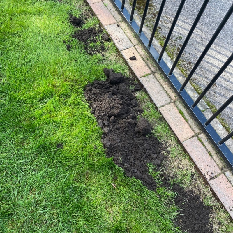 Reperowanie trawnika