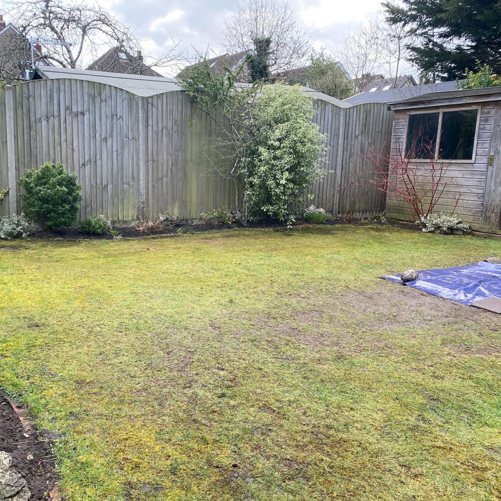 Trawnik przed skaryfikacją i dosiewaniem