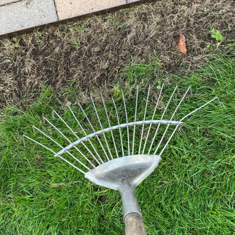 grabienie martwej trawy