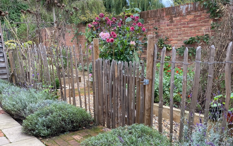 Co robić w ogrodzie we wrześniu