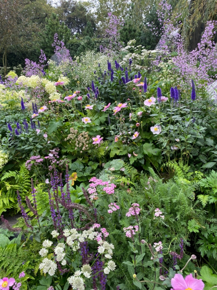 Chelsea Flower Show 2021 jesienne inspiracje do ogrodu