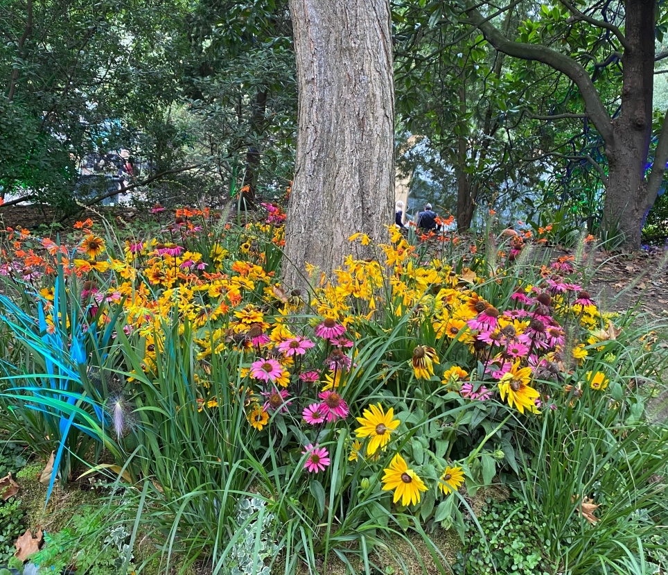 Nasadzenia Chelsea Flower Show 2021