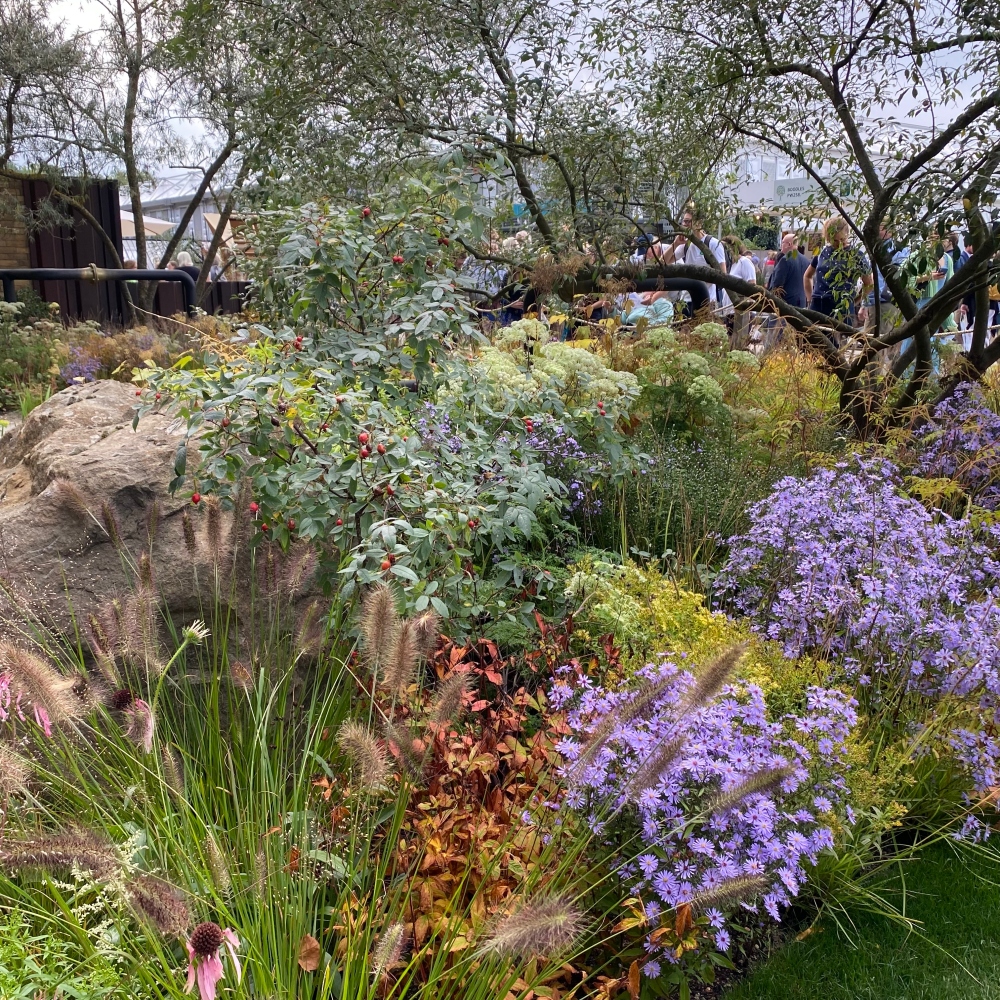 Roślinne inspiracje z Chelsea Flower Show